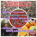진도아리랑황금봉(한라봉) 판매 이미지