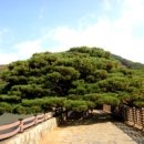 고향부동산중개사무소 이미지