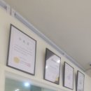 고양이 무마취 미용 냥털도둑 이미지