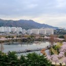 치유행정사
