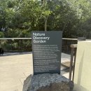 어번네이쳐(Urban nature)