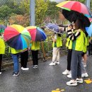 춘양양묘사업소 이미지