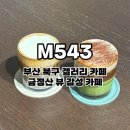 흰바위로59번길L | 부산 만덕 카페 M543 l 금정산 뷰 루프탑 전시 후기