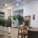 용두카페 이미지