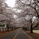 순천금당고등학교 이미지