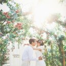 지니어스스튜디오 이미지