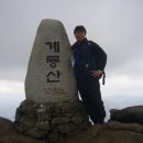 장진주유소 이미지