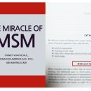 MSM 이미지