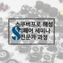 미도시다이브