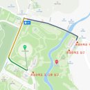 천제연 담팔수나무 | 제주도 혼자여행 제주 천제연폭포 3개의 폭포 탐방하기