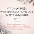 죄의 법과 마음의 법-롬7:21/cf. 빌4: 6-9 이미지
