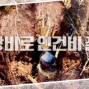 부자농장(정읍) 이미지