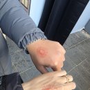 대기마을화장실 | 부산 크리스마스 빌리지 2025 12월 가볼만한 곳 영화의전당 산타마을 축제 다녀온 후기