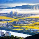 도시의 아침 이미지