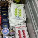 아크성지 이미지