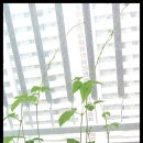 여시농장 이미지