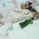 두암1동 주민센터 Daum카페