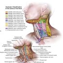 위드심의원 이미지