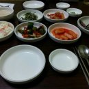 아구박사 Daum카페