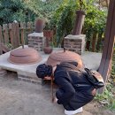 애마다방 | (여주전통수제누룽지) 아산 은행나무길.죽도 상화원을 다녀오면서~~♡♡