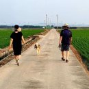 오길농장 이미지