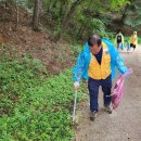 남원적십자 오작교봉사회 단합대회 및 환경정화 캠페인 이미지