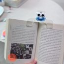 pet145더7392 | 테무템 이것저것 구입 후기 &amp; 추천