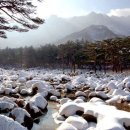 금강산에