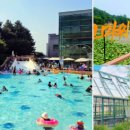 경충대로 2709번길 1 이미지