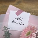 미성동-32 | 신림꽃집 미성동 라이노플라워 첫인사선물