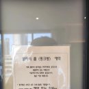 핑크브로콜리 네이버블로그