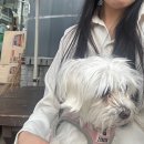 cu대교점 이미지