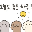 네모여행사