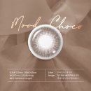 안경단아 이미지