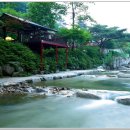 야생화펜션 - 구례군 섬진강대로 4310-21 | 야생화펜션