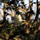 숲으로 가는 길 이미지