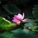 백팔 티스토리