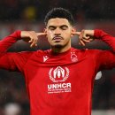 화이트메디칼 이미지