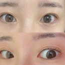 감삼동317 | 대구 :: 달서구 감삼동 속눈썹펌 잘하는 곳 " 리오르 " 뷰티