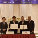 개량양돈 이미지