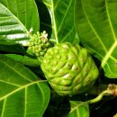 동광종합물산(주) 이미지