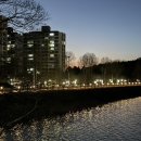 신시도세꼬시 이미지