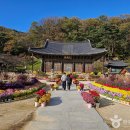 현대운수(유) | 경북 김천 가볼만한곳 베스트10 여행 명소 추천