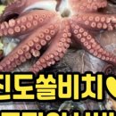 낙지박사 이미지