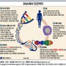 게놈 .지도 .연구분석 시작을 할까 ㅡㅡ..까 이미지