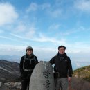 망운산 등산로 이미지