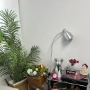 강남셀프 | 서초 | 강남렌탈스튜디오 셀프촬영 후기 '소중한 스튜디오'