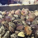 구산면520 | 금방 흘러가버린 1월 기록