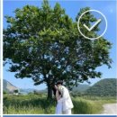 웅천읍 노천리534-1 이미지