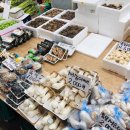 광성상가 이미지